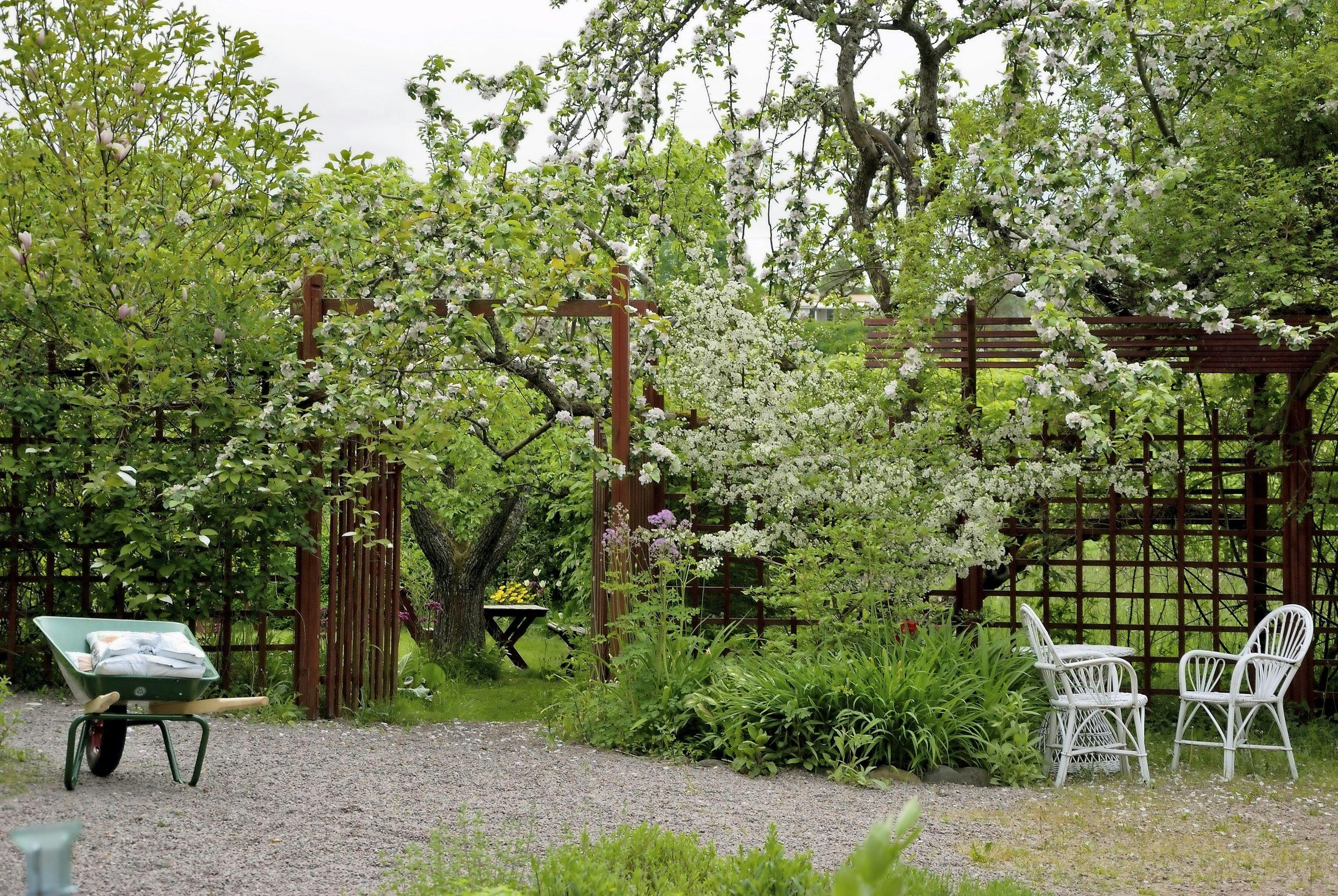 Magisk tid i hagen: Hagetips til våren